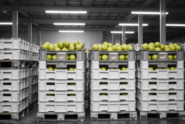 Industria alimentaria: 5 razones para elegir a GT+plastics