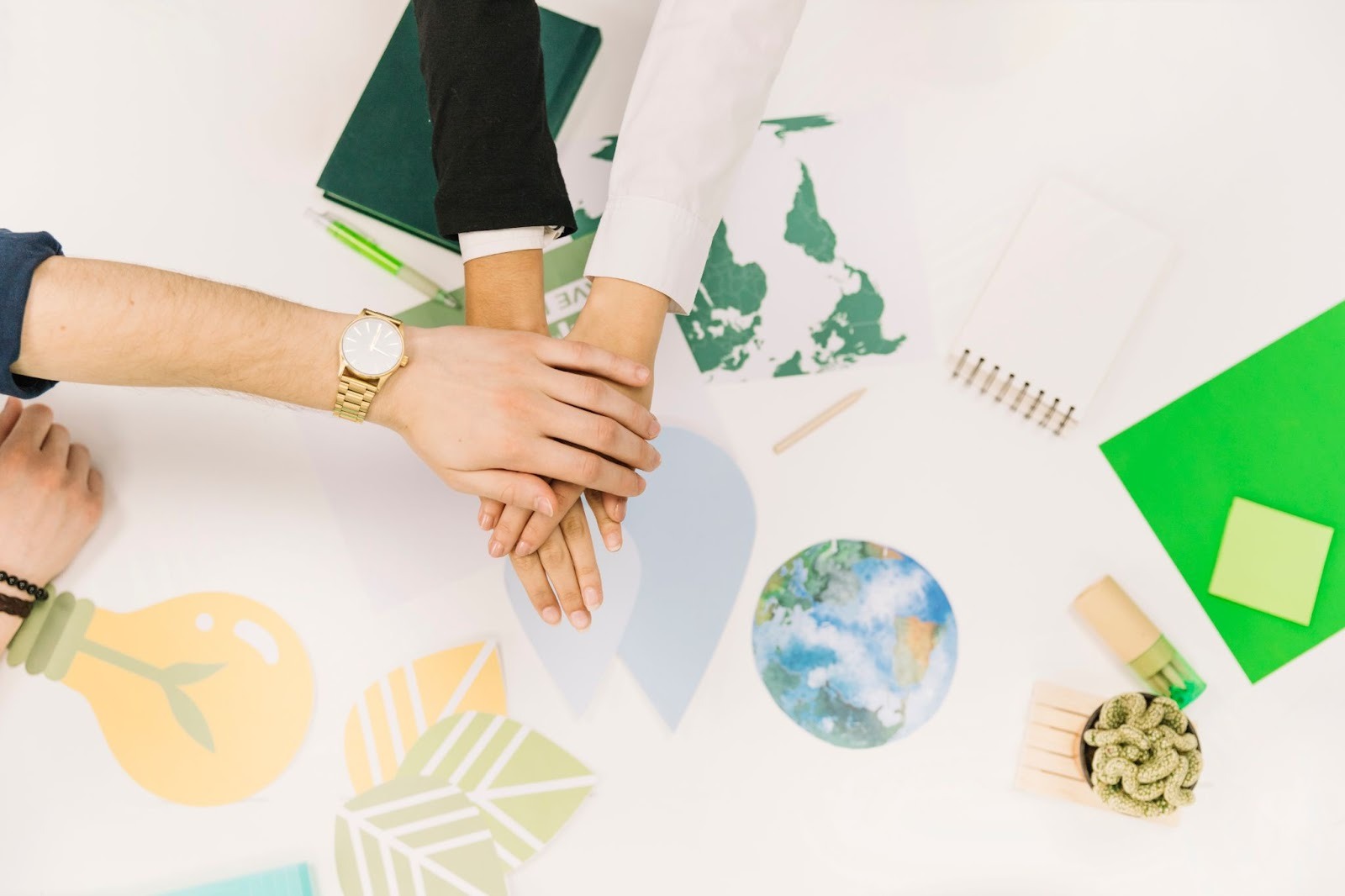 Equipo colaborando en políticas ambientales relacionadas con el uso de tarimas sostenibles en la cadena logística