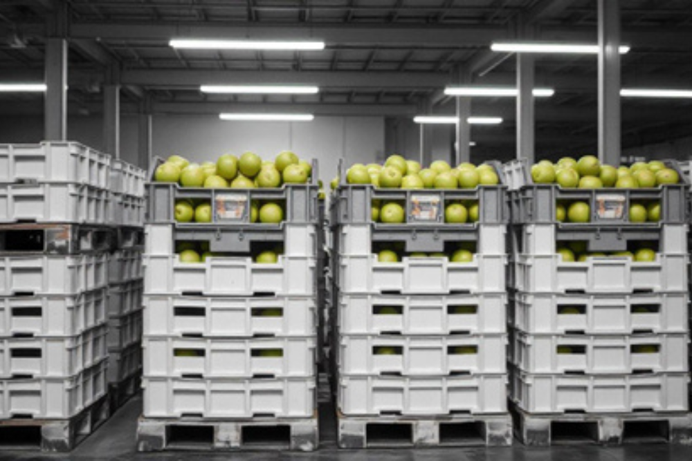 Industria alimentaria: 5 razones para elegir a GT+plastics